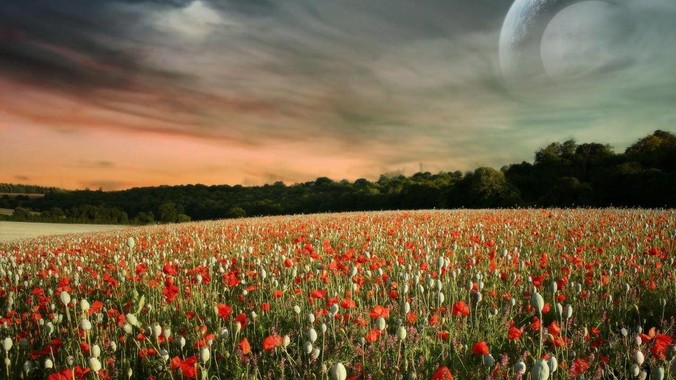 SwiftUI 是不是一个败笔？